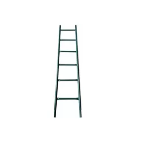 Access ladder 5'